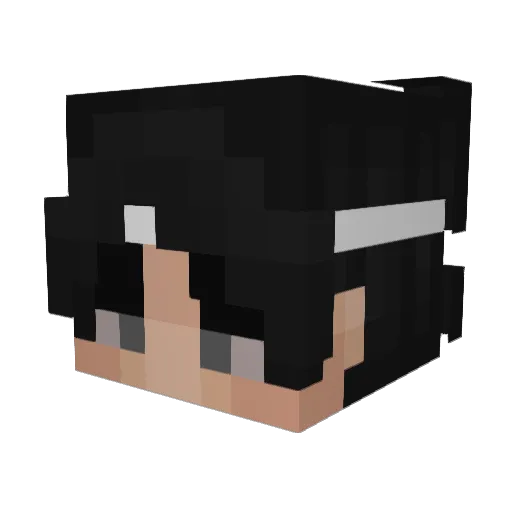 AustinDaPotato Minecraft avatar head, 3D render