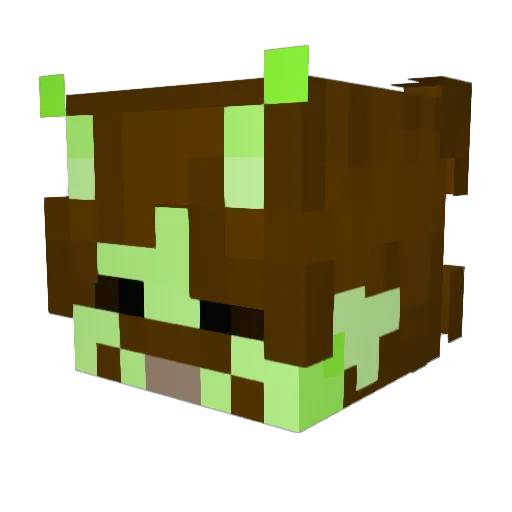 AustinIsntHere Minecraft avatar head, 3D render