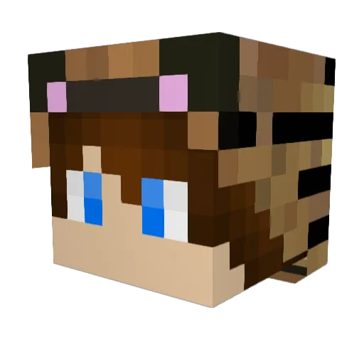AustinK18 Minecraft avatar head, 3D render