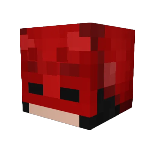 AustinNitsua Minecraft avatar head, 3D render