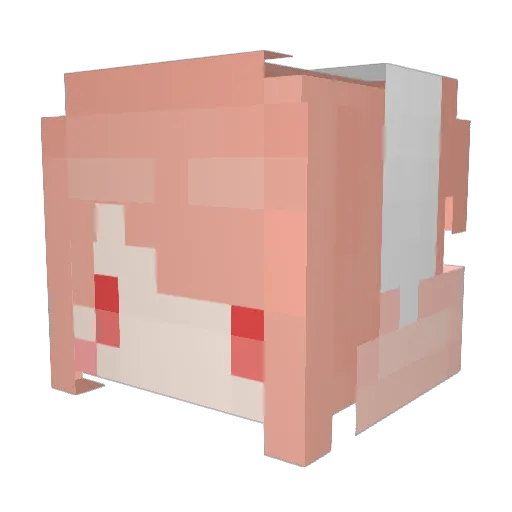 AustinRiperton Minecraft avatar head, 3D render