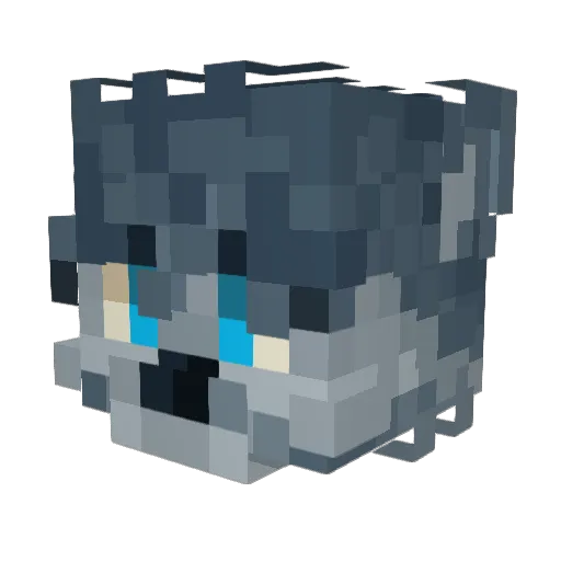 AustinS25 Minecraft avatar head, 3D render