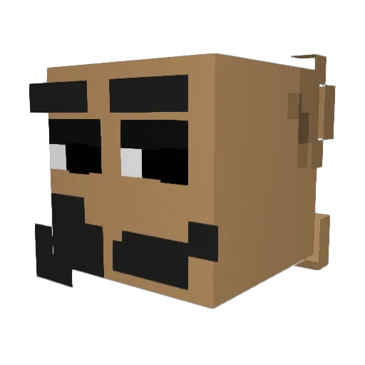 AustinTapp Minecraft avatar head, 3D render