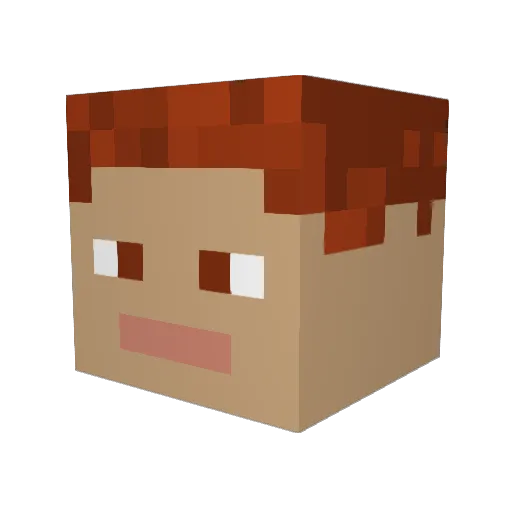 AustinW99 Minecraft avatar head, 3D render