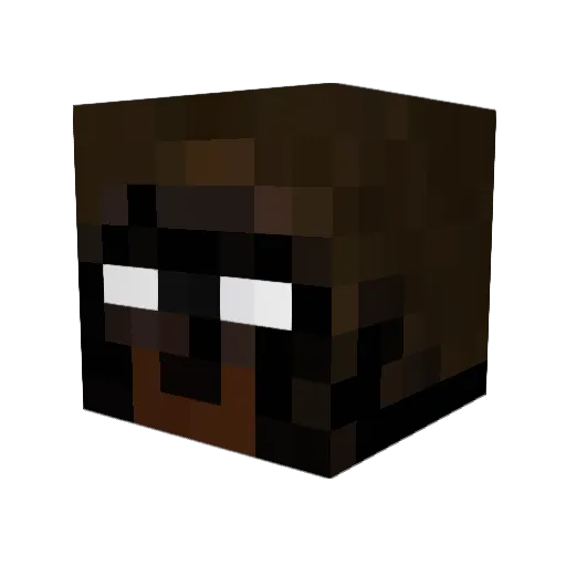 Austin_Chicken Minecraft avatar head, 3D render