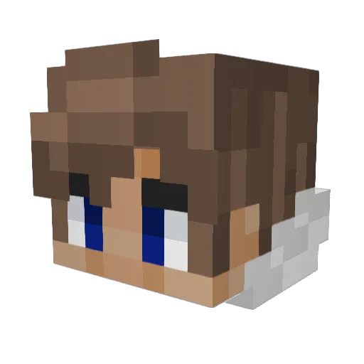 AustinandBerry Minecraft avatar head, 3D render
