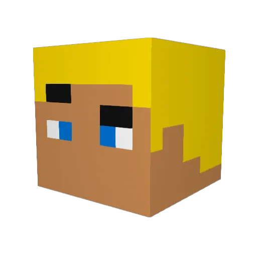 Austincf71 Minecraft avatar head, 3D render