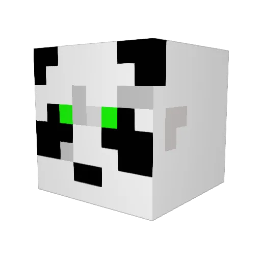 Austincoolbeans Minecraft avatar head, 3D render