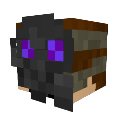 Austinj728 Minecraft avatar head, 3D render