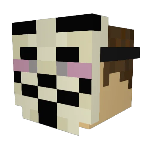 Austinryan02 Minecraft avatar head, 3D render