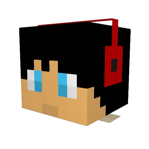 Austriafighter Minecraft avatar head, 3D render