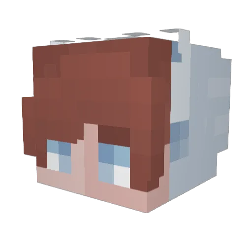 Austrobb Minecraft avatar head, 3D render