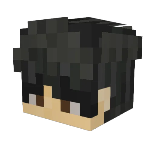 Austrowaffles Minecraft avatar head, 3D render