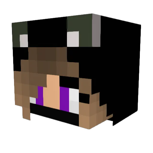 Autenkillme Minecraft avatar head, 3D render