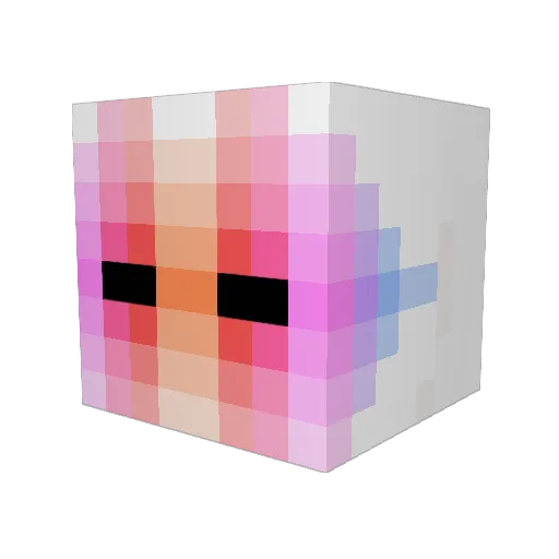 Autism_Donor Minecraft avatar head, 3D render