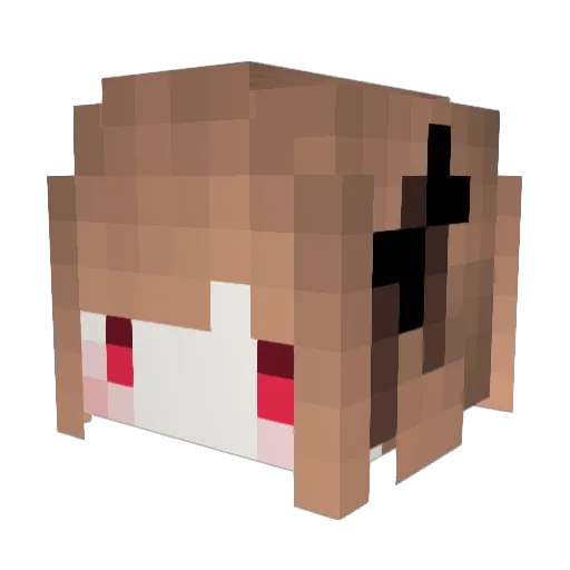AutismoDuck Minecraft avatar head, 3D render
