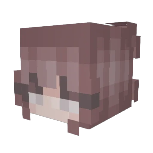 Autisneechan Minecraft avatar head, 3D render