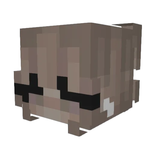 Autohoe Minecraft avatar head, 3D render