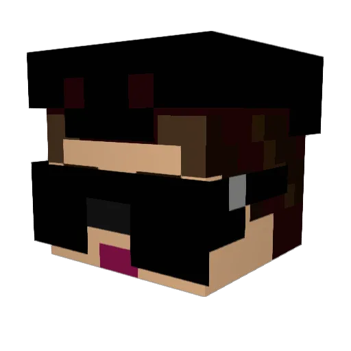 Automobilhasser Minecraft avatar head, 3D render