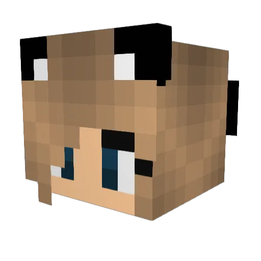 Autumbreeze1629 Minecraft avatar head, 3D render