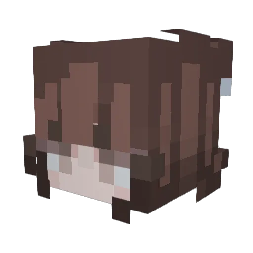 Autumn2005 Minecraft avatar head, 3D render