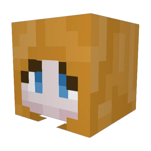 Autumn42 Minecraft avatar head, 3D render