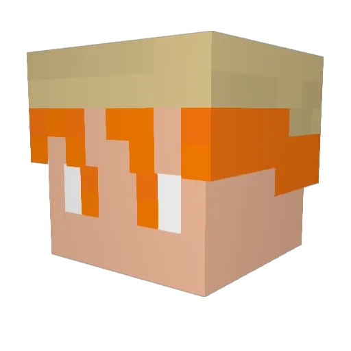 Autumn486 Minecraft avatar head, 3D render