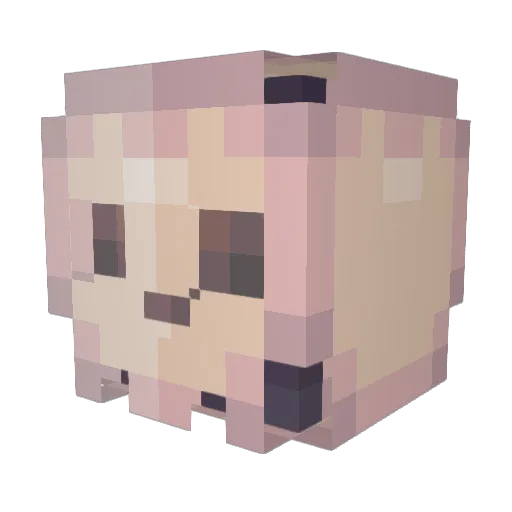 AutumnRainBot Minecraft avatar head, 3D render