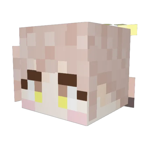 AutumnSV Minecraft avatar head, 3D render
