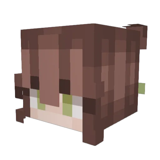 AutumnSky2 Minecraft avatar head, 3D render
