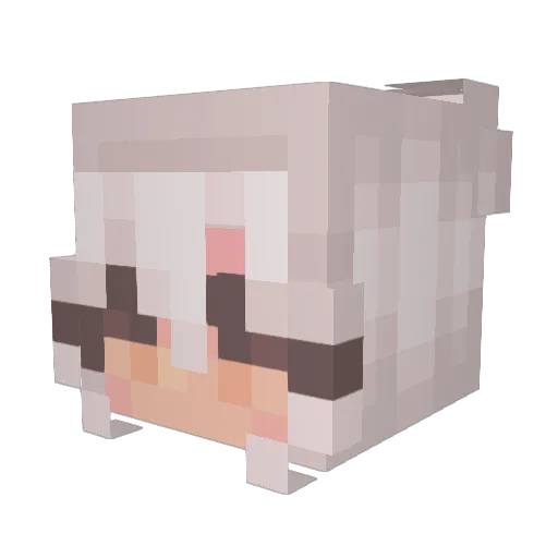 Autumn_Nuggets Minecraft avatar head, 3D render