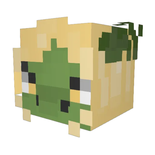 Autumnfire13 Minecraft avatar head, 3D render