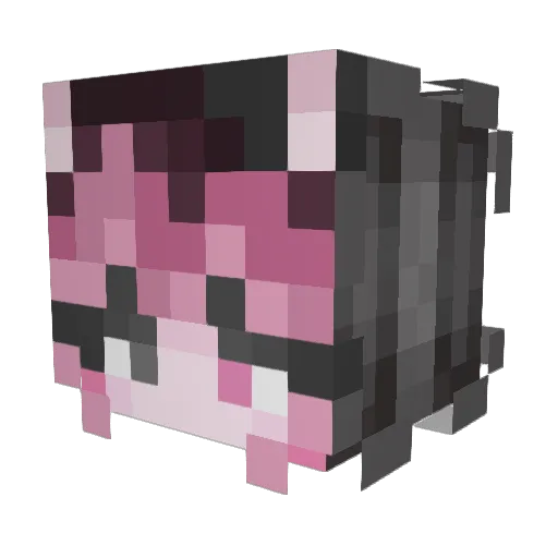 Autumnmae Minecraft avatar head, 3D render