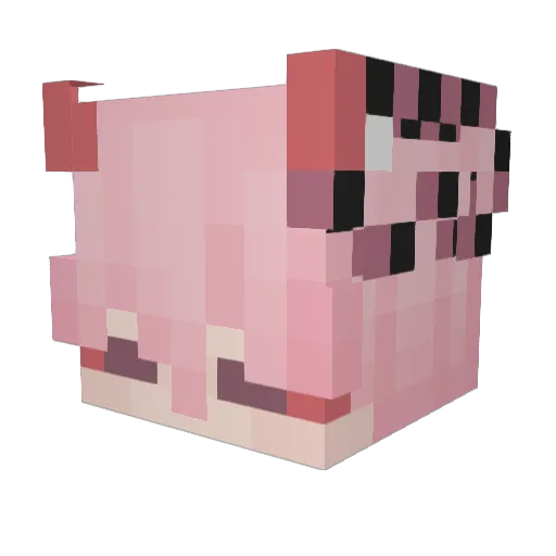 Autumnzone Minecraft avatar head, 3D render