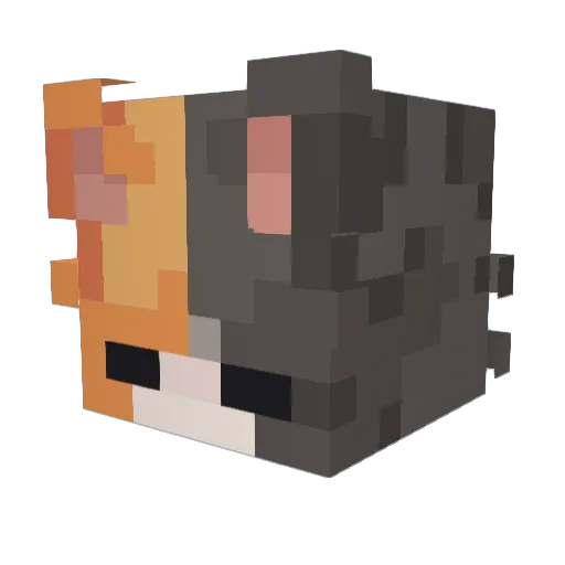 Auucee Minecraft avatar head, 3D render