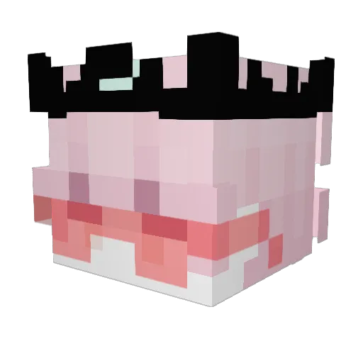 Auvern Minecraft avatar head, 3D render