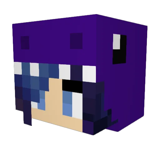 Auxine7 Minecraft avatar head, 3D render