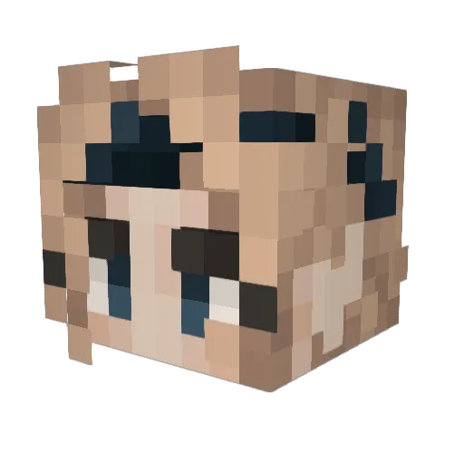 AvD_lee Minecraft avatar head, 3D render