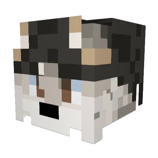 Av_Jar1138 Minecraft avatar head, 3D render