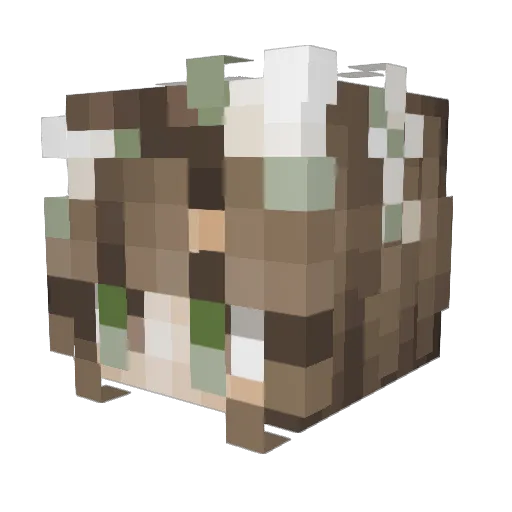 Ava213 Minecraft avatar head, 3D render