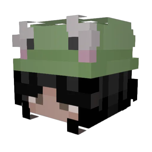 AvaCado565 Minecraft avatar head, 3D render