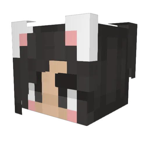 AvaCares Minecraft avatar head, 3D render
