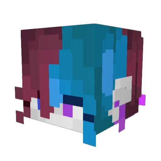 AvaCat11 Minecraft avatar head, 3D render