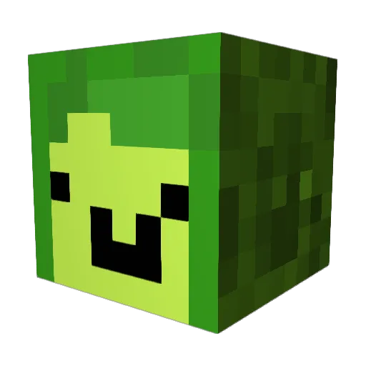 AvaCookie7878 Minecraft avatar head, 3D render