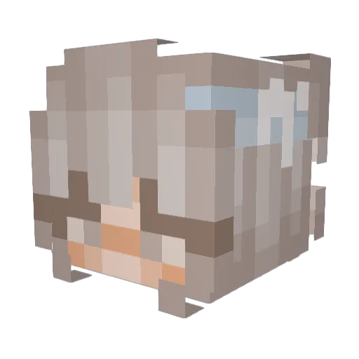AvaHatesPeople Minecraft avatar head, 3D render
