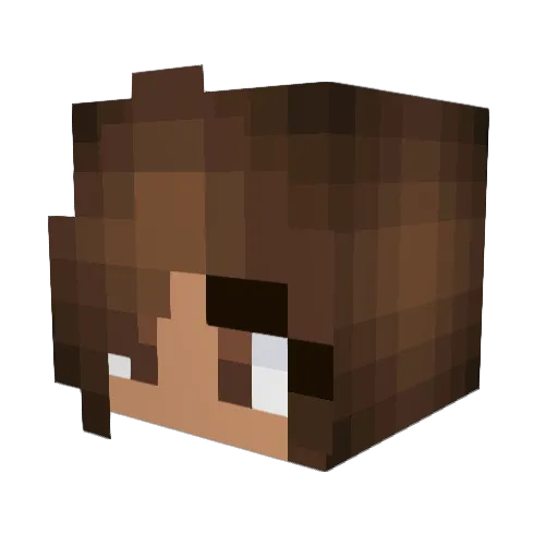 AvaOMG2015 Minecraft avatar head, 3D render