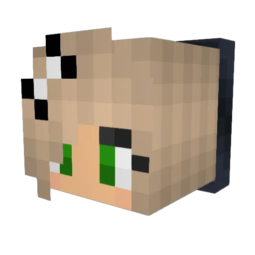 Ava_L_123 Minecraft avatar head, 3D render
