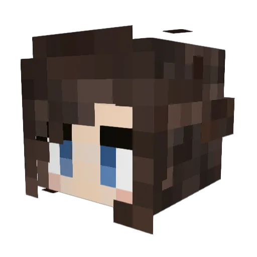 AvalonInk Minecraft avatar head, 3D render