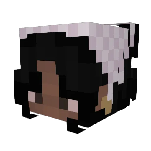 Avamarie1118 Minecraft avatar head, 3D render