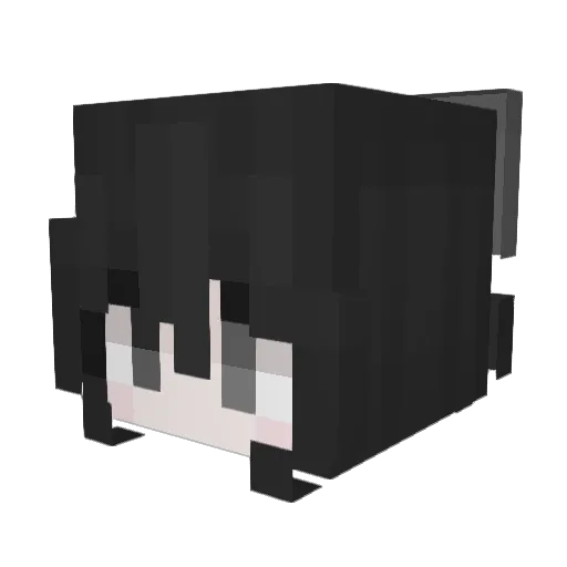 Avamax123 Minecraft avatar head, 3D render